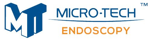 Micro logo